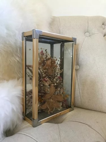 1 ⚜️ Ancien Vitrine Rectangulaire en Laiton Fleurs Séchées Vintage Authentique