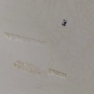 dot