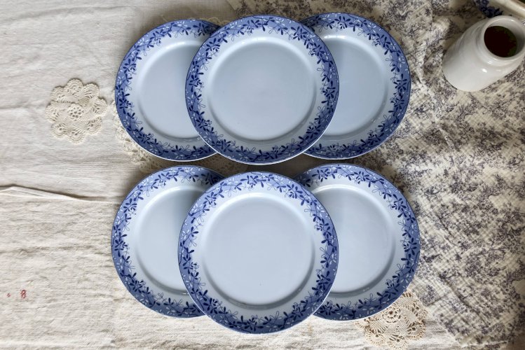 10 assiettes à dessert antiques U&C Sarreguemines modèle Mimosa