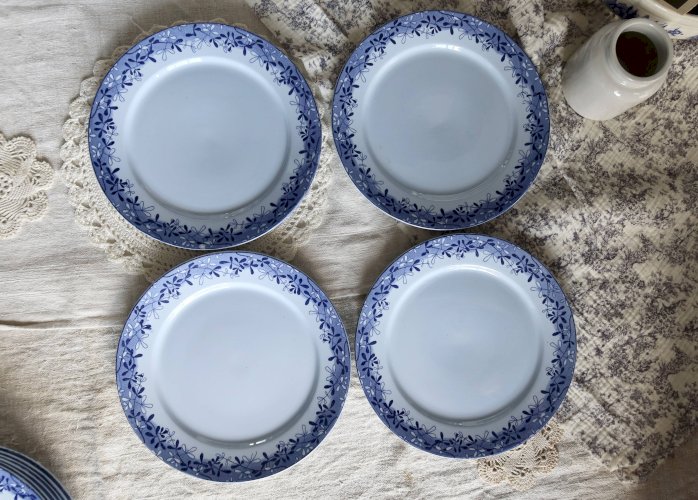 10 assiettes à dessert antiques U&C Sarreguemines modèle Mimosa