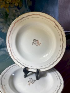 10 assiettes creuses blanches et dorées St-Amandinoise