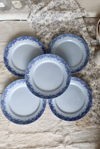 10 assiettes plates antiques U&C Sarreguemines modèle Mimosa