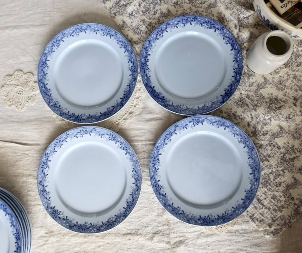 10 assiettes plates antiques U&C Sarreguemines modèle Mimosa