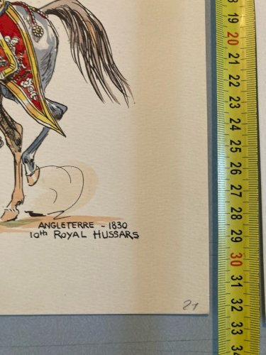 10 Engraving Gravure Lithographie Lot  XIXe Cheval Militaria Art Ancien Original