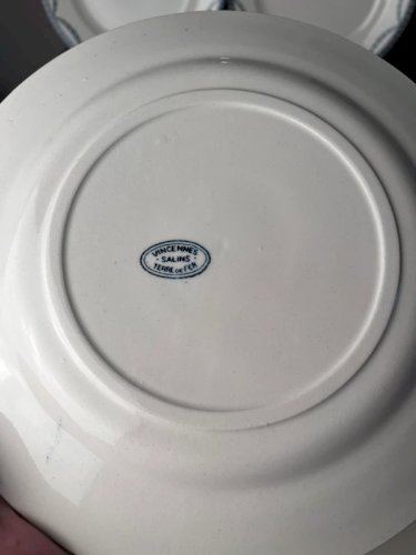 10 grandes assiettes plates Salins modèle Vincennes