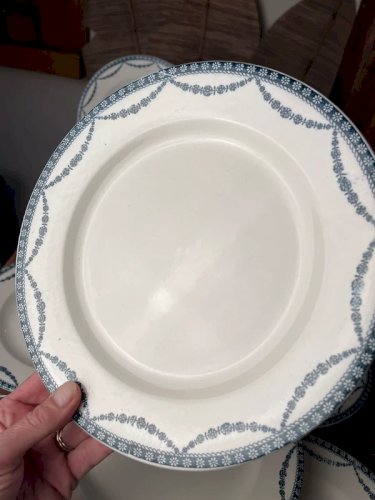 10 grandes assiettes plates Salins modèle Vincennes