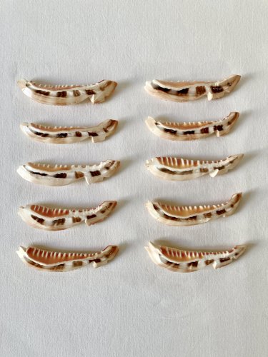 10 porte-couteaux en forme de poisson