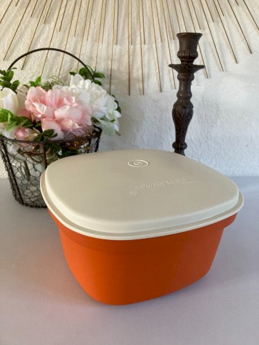 1024⚜️ Ancien Tupperware Yaourtière Orange Multiservices 9 Pots Vintage