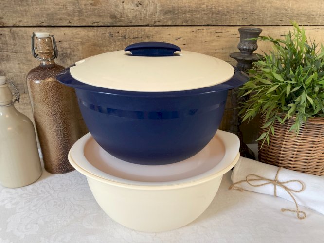 1025⚜️ Tupperware Plat de Service Maintien Au Chaud Thermo Duo Iso-Duo 4.3 L