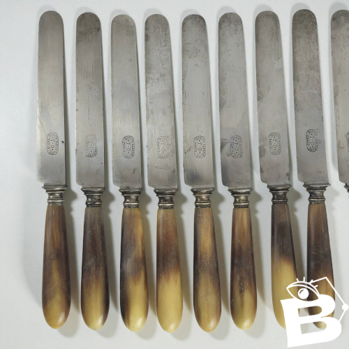 11 couteaux Corne & Acier TD Paris