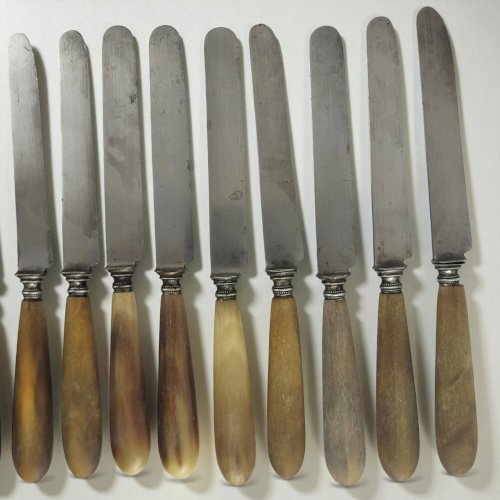 11 couteaux fromage / dessert corne & acier, T-D Paris