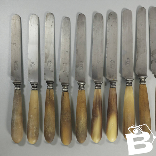 11 couteaux fromage / dessert corne & acier, T-D Paris