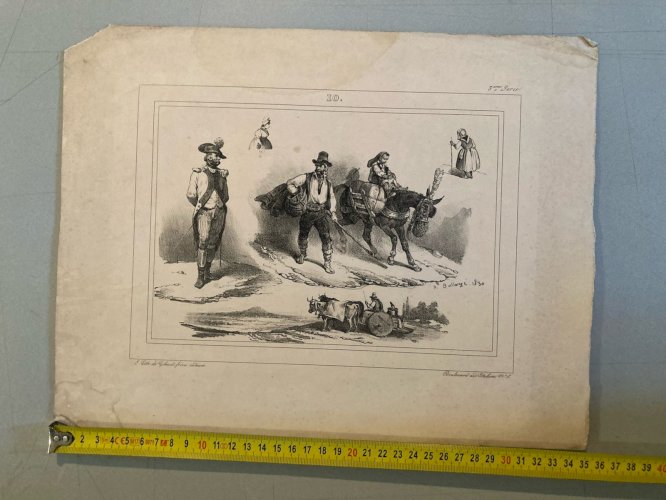 11 Engraving Gravure Lithographie Lot  XIXe Cheval Militaria Art Ancien Original