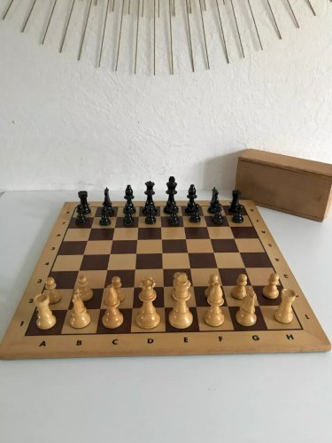 11 ⚜️ Jouet Jeu D'échecs Jeu De Société Échiquier Complet Hauteur du Roi 7,5 Cm