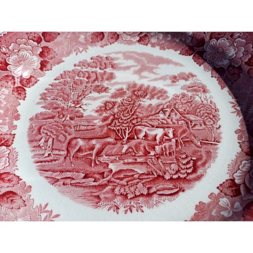 12 Assièttes en Faience de marque : Adams