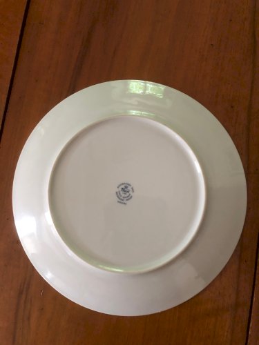 12 ASSIETTES RARES Plates Oignons Bleus de la fameuse PORCELAINE THUN - Bohemia Inglazed - Marque Made in Czechoslovakia Bohemia Inglazed - Série limitée