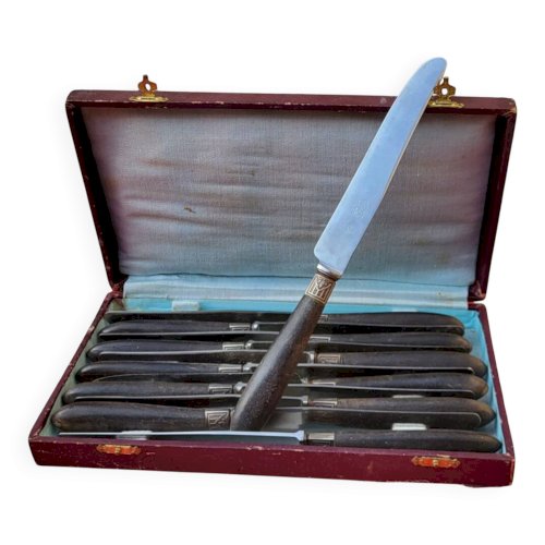 12 couteaux de table Bourgade / Thiers