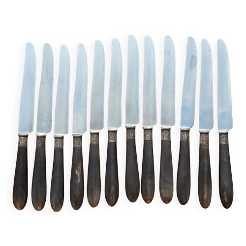 12 couteaux de table Bourgade / Thiers