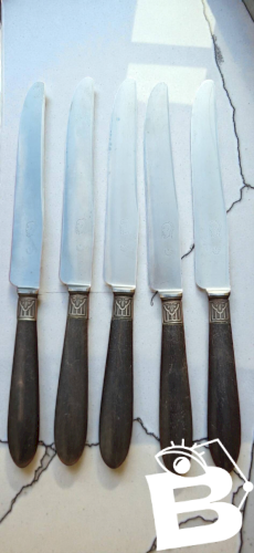 12 couteaux de table Bourgade / Thiers