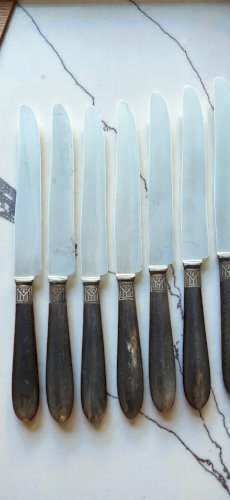 12 couteaux de table Bourgade / Thiers