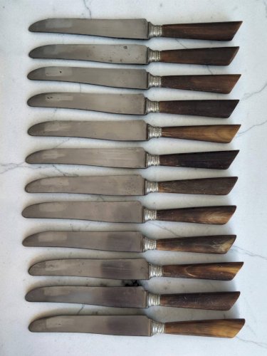 12 couteaux manche Corne
