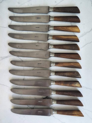 12 couteaux manche Corne