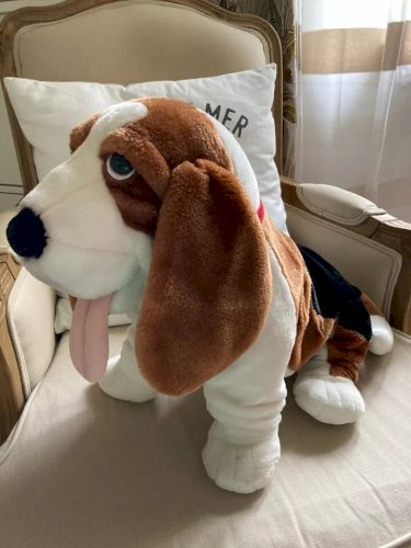 12 ⚜️ Grande Peluche Doudou Le Chien Télé Z Jemini Hauteur 35 Cm