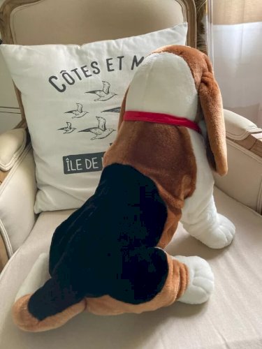 12 ⚜️ Grande Peluche Doudou Le Chien Télé Z Jemini Hauteur 35 Cm