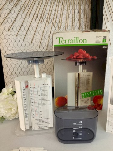 125⚜️ Ancienne Balance de Cuisine Terraillon 200 Gr Balance Diététique Blanche