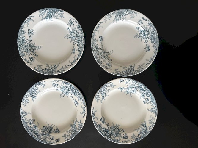 13 assiettes creuses Terre de fer Cyclamens Louis Graves