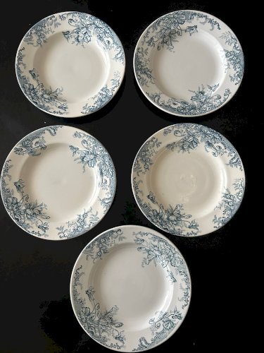 13 assiettes creuses Terre de fer Cyclamens Louis Graves