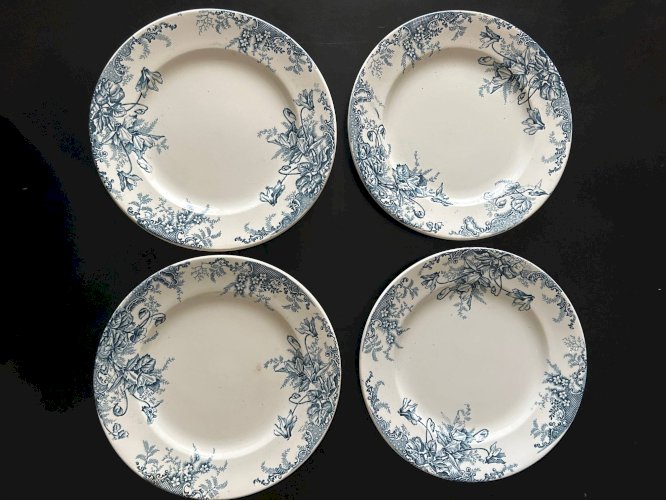 13 assiettes plates Terre de Fer Louis Graves