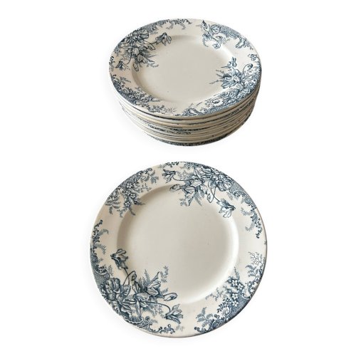 13 assiettes plates Terre de Fer Louis Graves