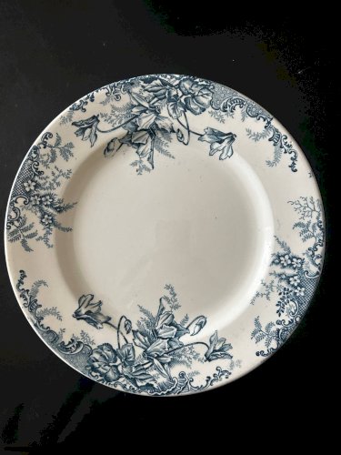13 assiettes plates Terre de Fer Louis Graves