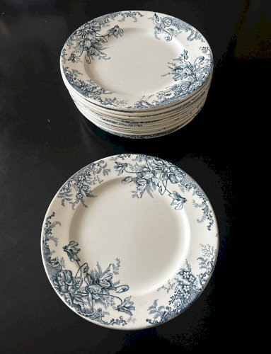 13 assiettes plates Terre de Fer Louis Graves