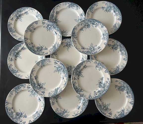 13 assiettes plates Terre de Fer Louis Graves