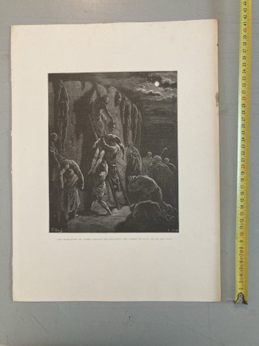 13 Engraving Gravure Gustave Doré Mort Lot  Ancien Original Old Squelette Art