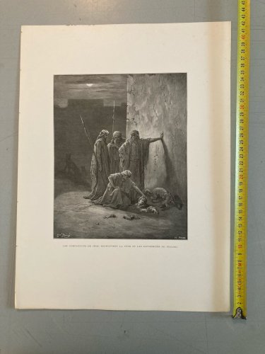 13 Engraving Gravure Gustave Doré Mort Lot  Ancien Original Old Squelette Art