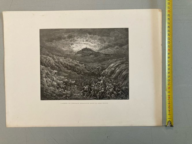 13 Engraving Gravure Gustave Doré Mort Lot  Ancien Original Old Squelette Art