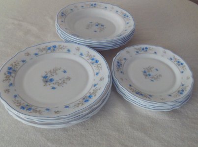 Assiettes Plates Arcopal Victoria - Motif Fleurs - Occasion En Bon état