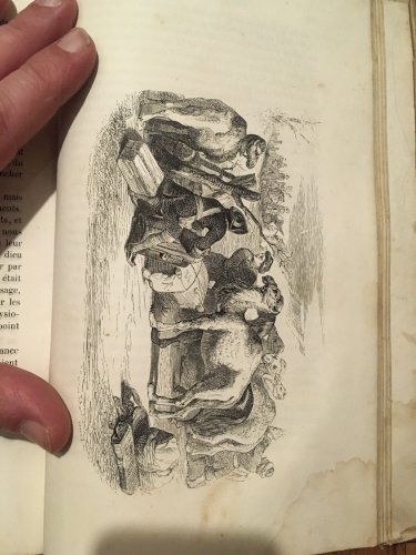1840 EO Robinson CRUSOE GRANDVILLE GRAVURES DANIEL DEFOE  État Moyen