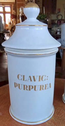 2 Ancien Pot Pharmacie apothicaire Limoges old apothecary jars Clavic purpurea