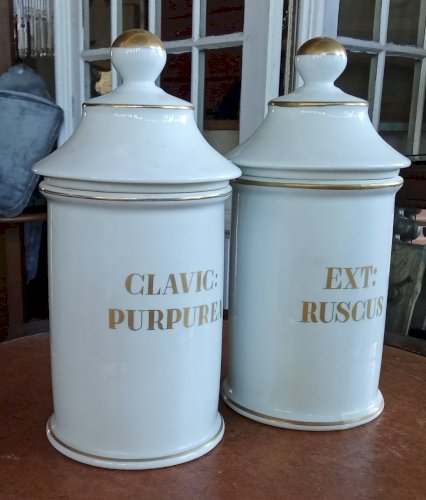 2 Ancien Pot Pharmacie apothicaire Limoges old apothecary jars Clavic purpurea