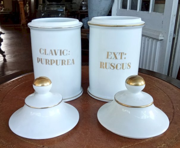 2 Ancien Pot Pharmacie apothicaire Limoges old apothecary jars Clavic purpurea