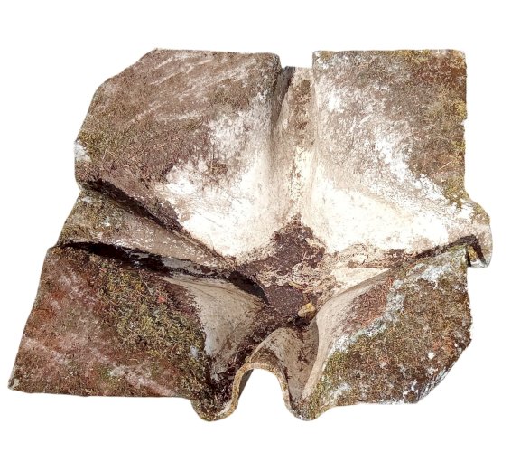 2 Ancienne Grande Vasque Jardinière Mouchoir Willy Guhl 1960 Déco Jardin Design