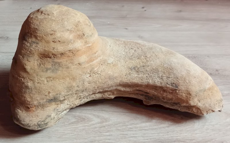 2 anciens fossiles Poisson nodule collection minéraux  cabinet objet curiosité