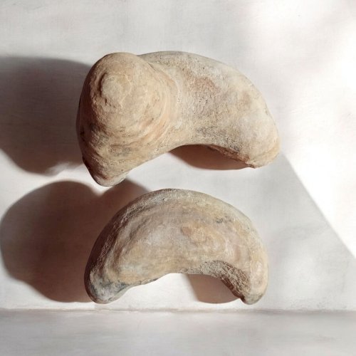 2 anciens fossiles Poisson nodule collection minéraux  cabinet objet curiosité