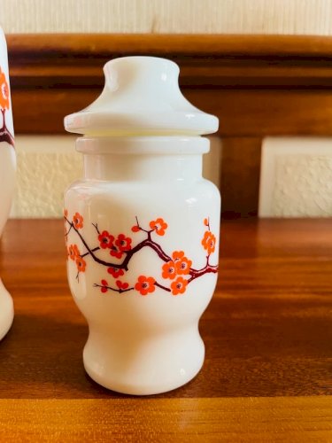 2 bocaux d’apothicaire vintage