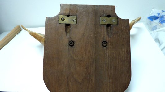 2 bois de cerf ou chevreuil de 38 cm, prêts à accrocher au mur