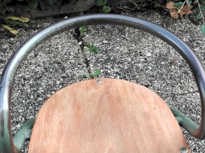 dot